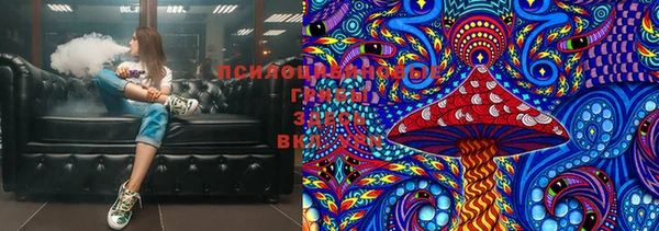 твердый Алексеевка