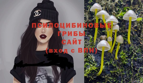 твердый Алексеевка