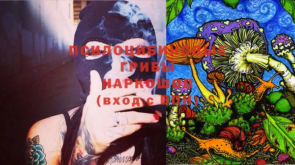 твердый Алексеевка