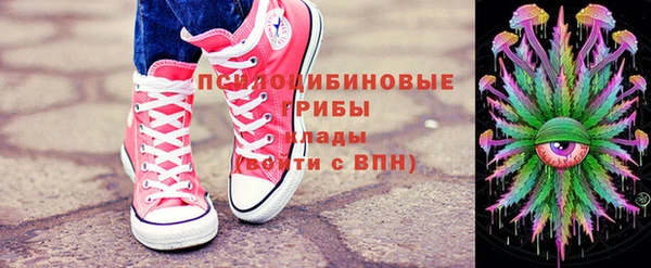 гидропоника Алзамай