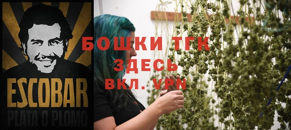 гидропоника Алзамай