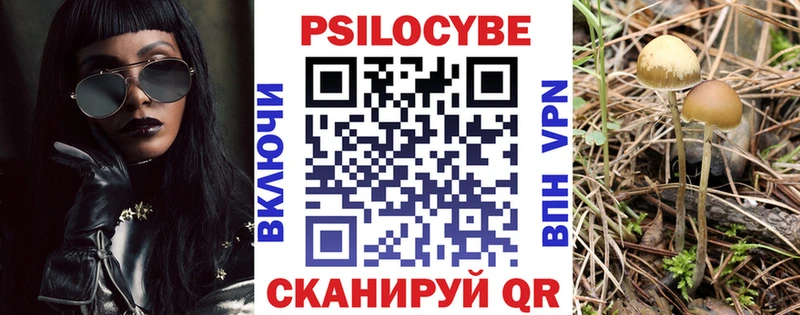 Псилоцибиновые грибы мухоморы  Бодайбо 