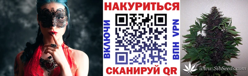 купить закладку hydra ссылки МАРИХУАНА сатива Бодайбо